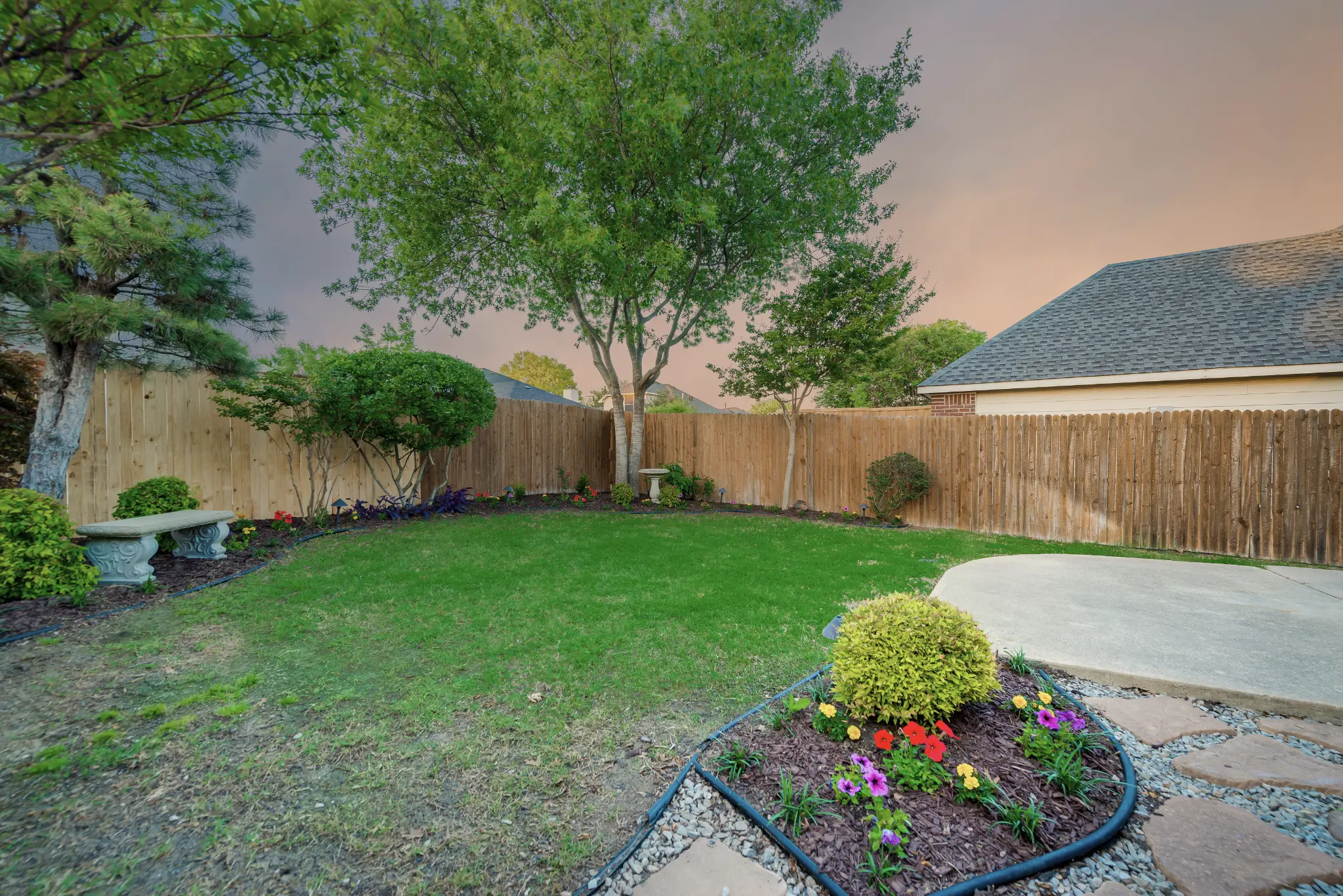 After: Landscaped backyard with new fence – 10802 Tree Shadow Ln, Frisco TX 75033