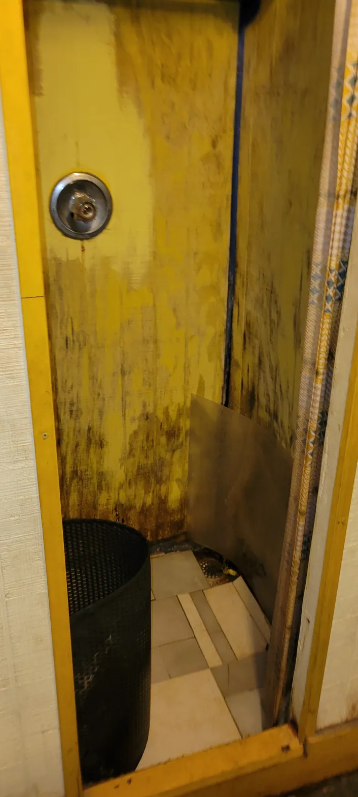 Severely deteriorated bathroom shower at 2010 Wesley Dr Arlington TX — heavy mold and water damage on walls
