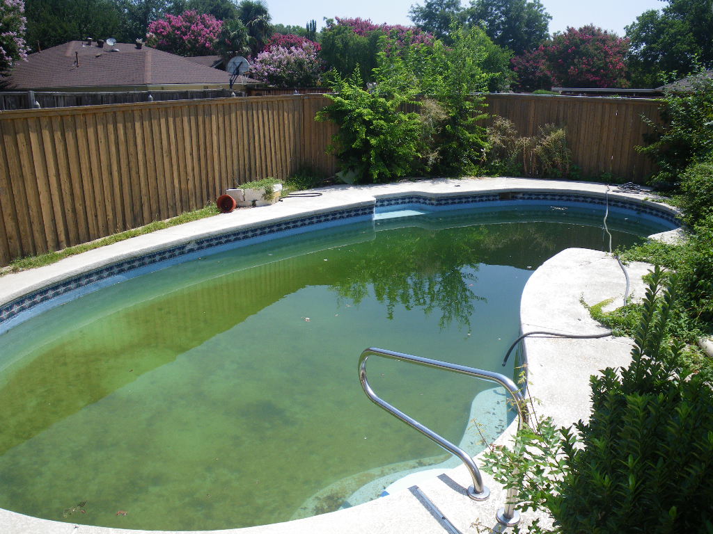 625 Wentworth Dr Richardson TX — green algae pool before purchase