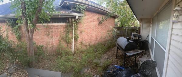 Arlington TX house before purchase - overgrown exterior