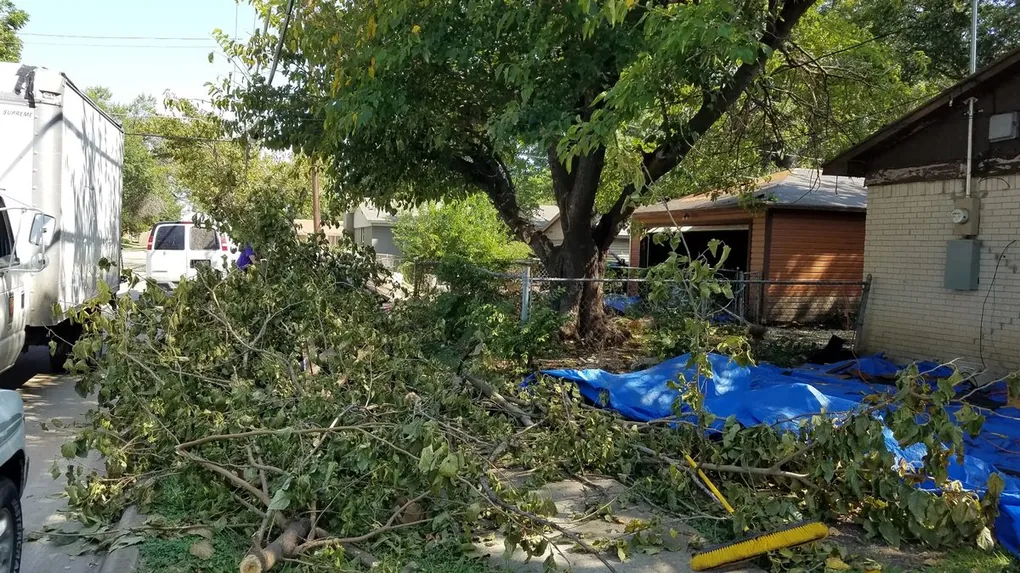 Exterior tree trimming and removal day, you can see the Dallas Zoo box truck on the left side of the photo, lol