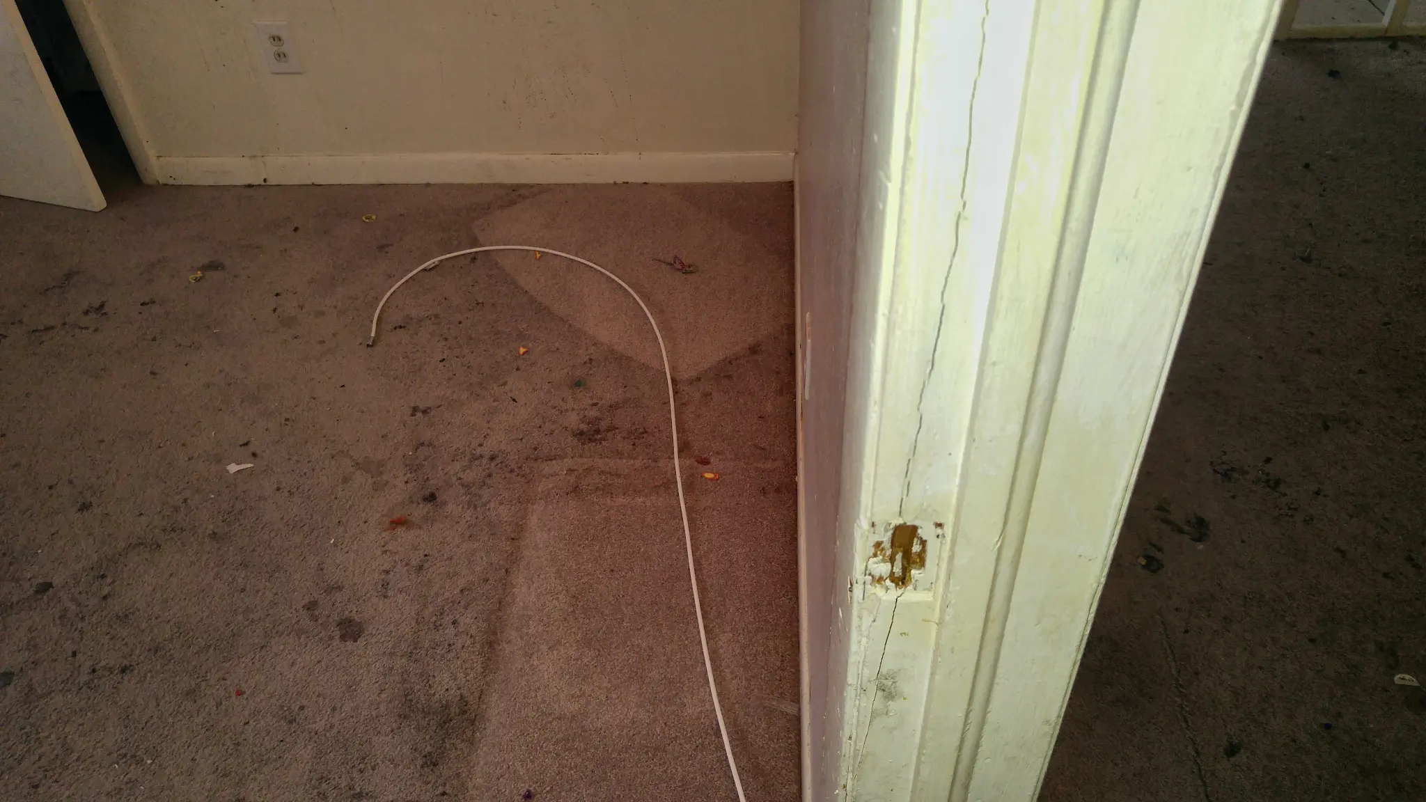 1823 Winthrop St Irving TX stained carpet before renovation - DFW I Buy Houses